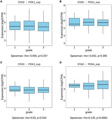 Increased Expression of PDK4 Was Displayed in Gastric Cancer and Exhibited an Association With Glucose Metabolism